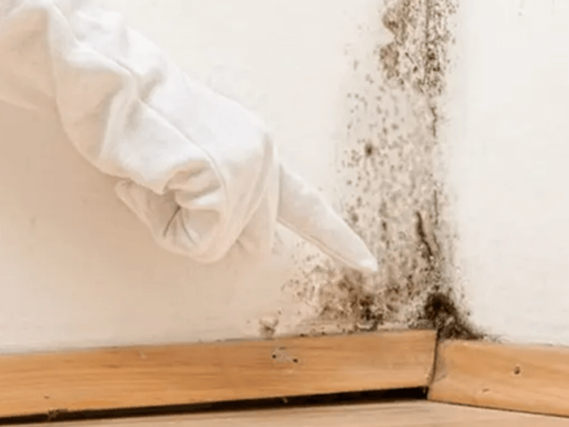 KHI NÀO NÊN GỌI THỢ XỬ LÝ THẤM DỘT CHUYÊN NGHIỆP